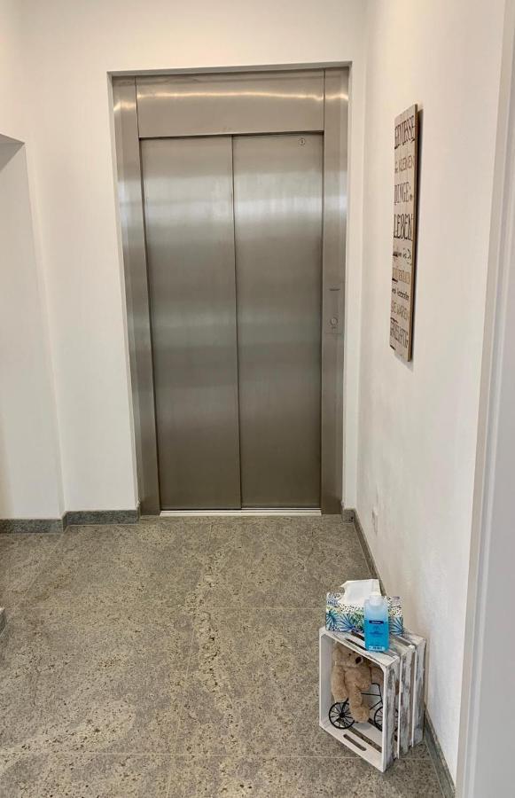Ferienwohnung Zur Dexter-Zucht Coswig Coswig  Exterior foto